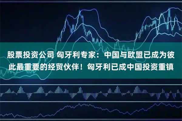 股票投资公司 匈牙利专家：中国与欧盟已成为彼此最重要的经贸伙伴！匈牙利已成中国投资重镇