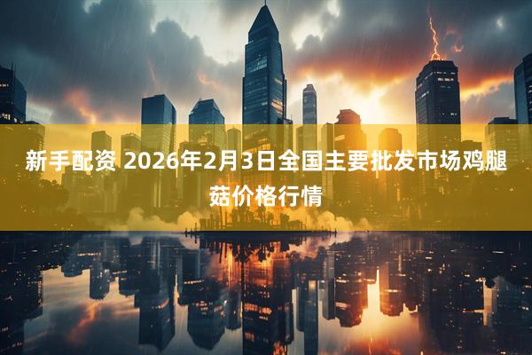 新手配资 2026年2月3日全国主要批发市场鸡腿菇价格行情
